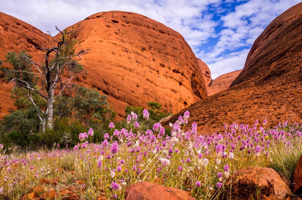 Colori d'Australie