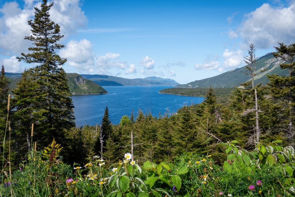 Parco nazionale di Gros-Morne
